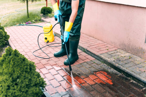 Best Roof Washing  in Sackets Harbor, NY